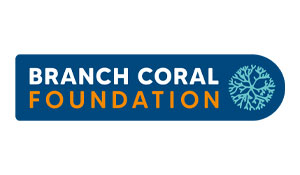 Branch Coral Foundation